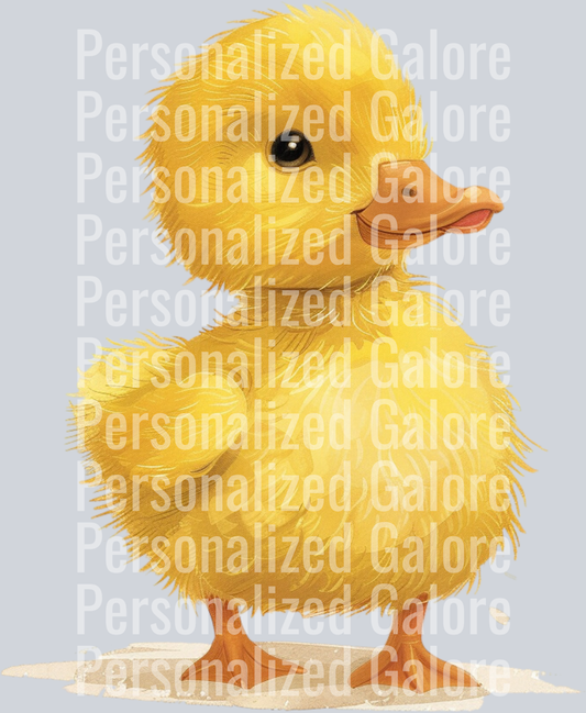duck_003