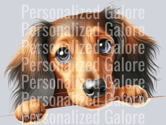 dog_396