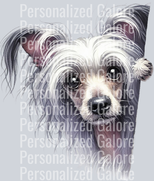 dog_408