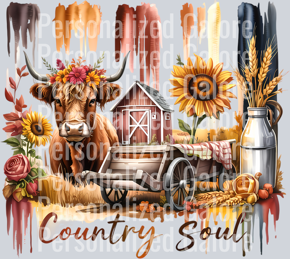 western_565