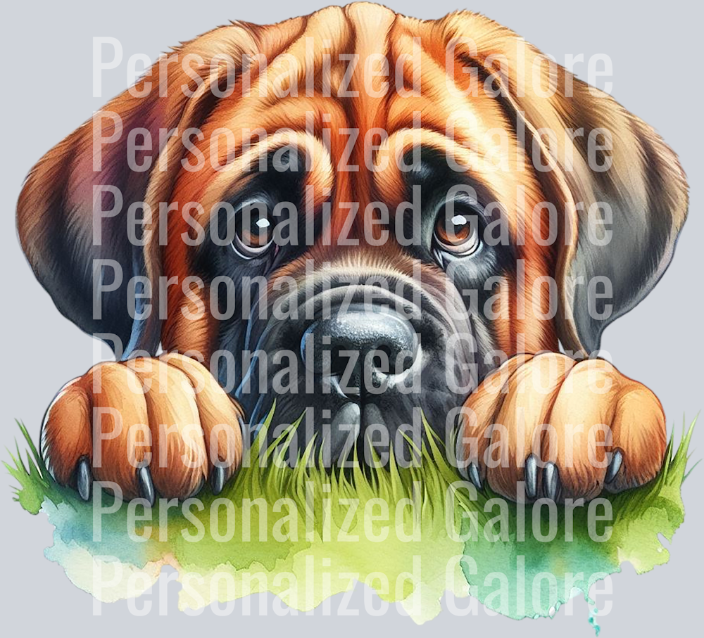 dog_365