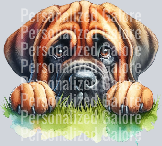 dog_365