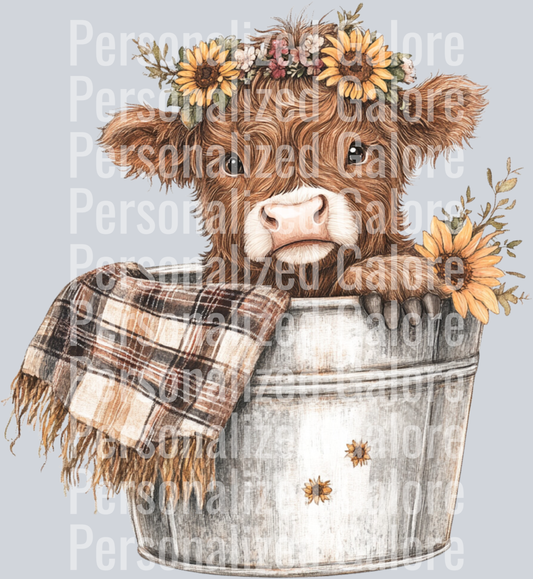 cow_248