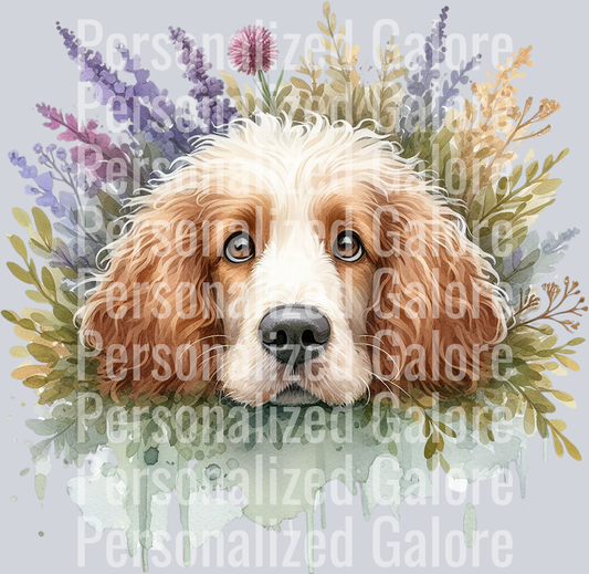 dog_491
