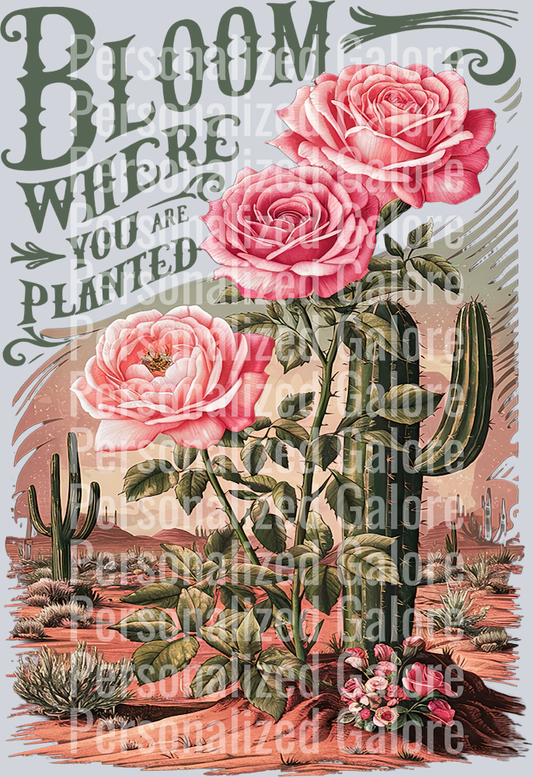 western_071