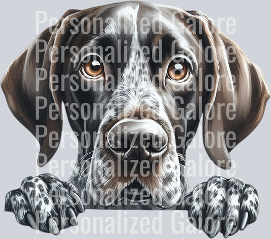 dog_338