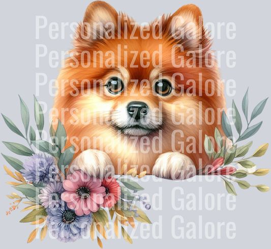 dog_356