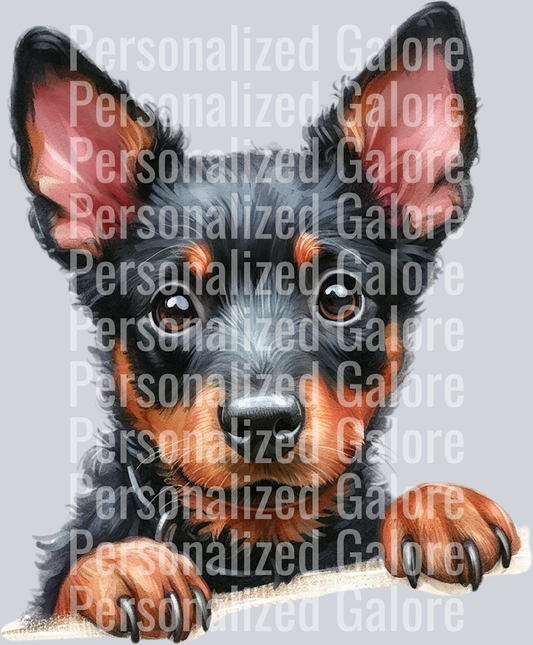 dog_560