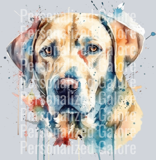 dog_404
