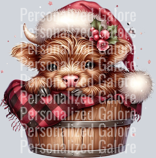 cow_243