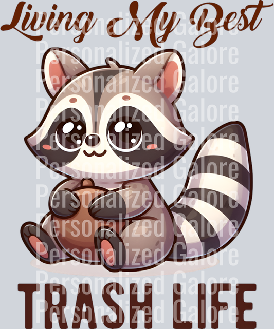 Raccoon_030