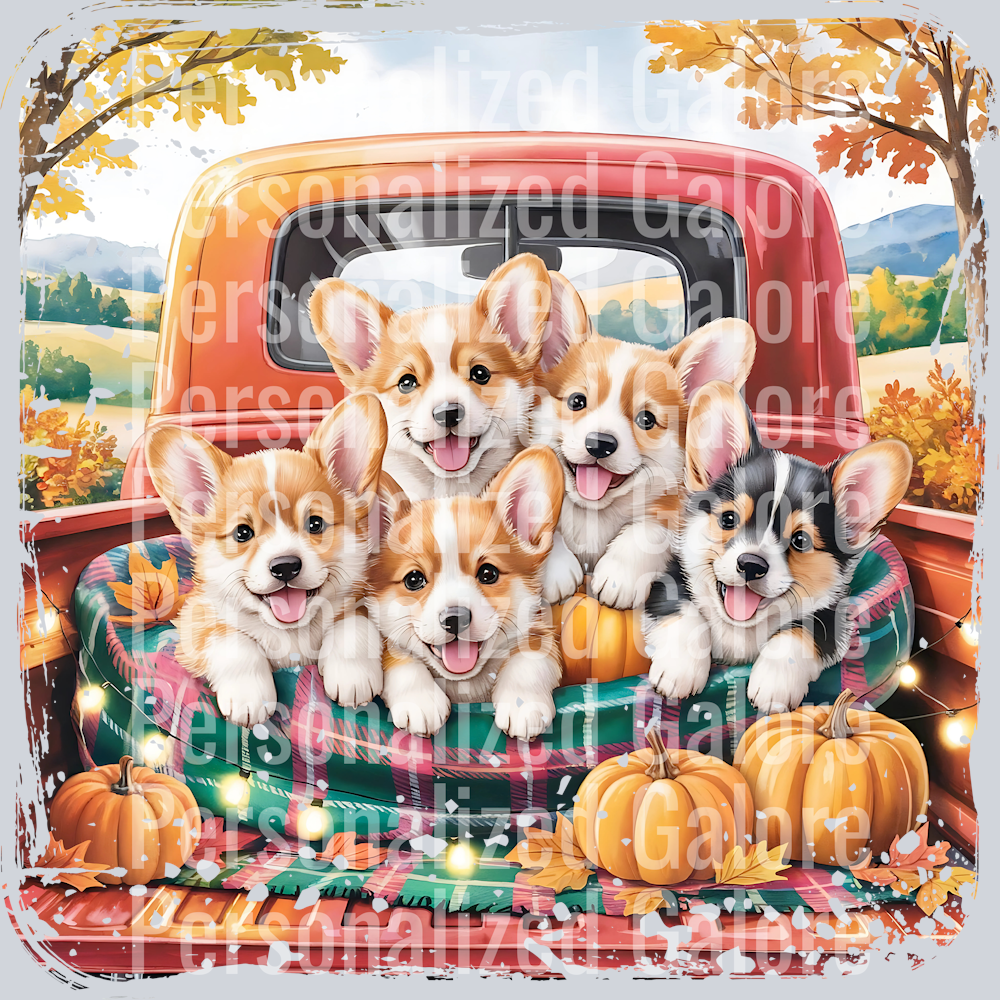 dog_602