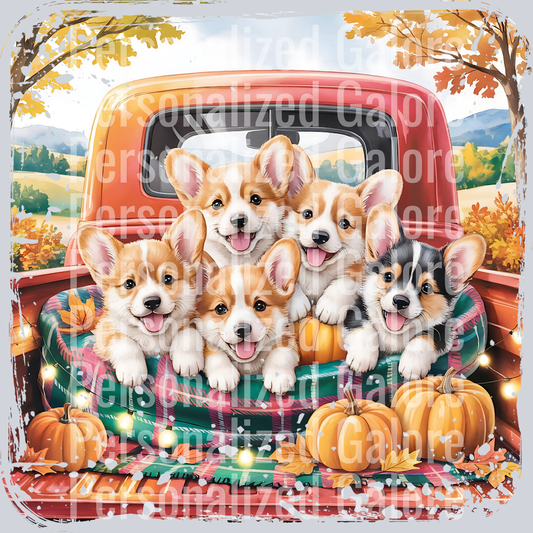 dog_602