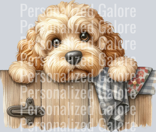 dog_403
