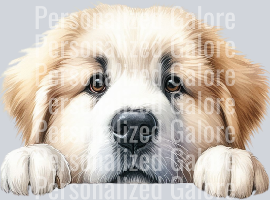 dog_543