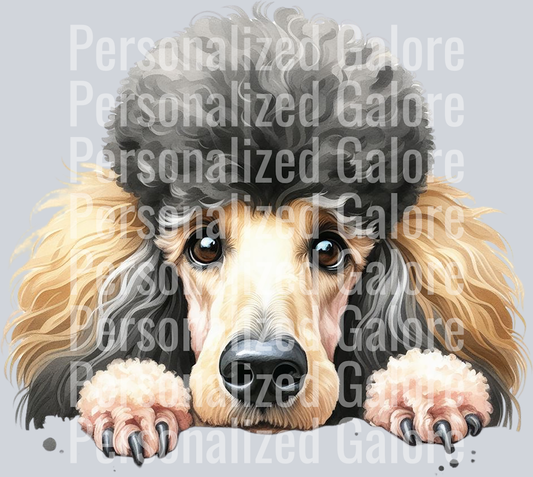 dog_498