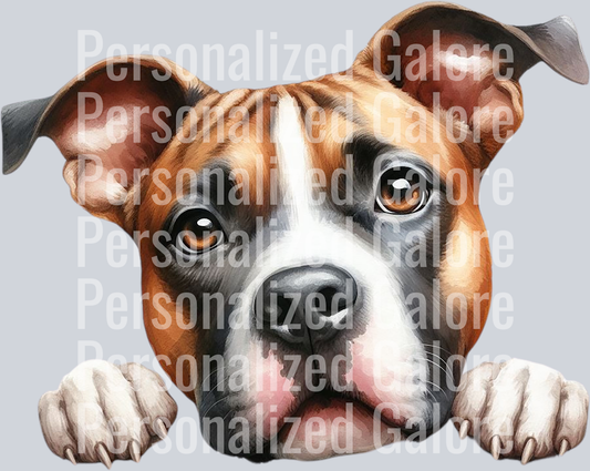 dog_494