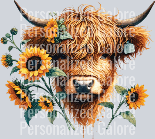 cow_344