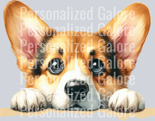 dog_397