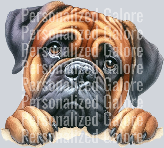 dog_432