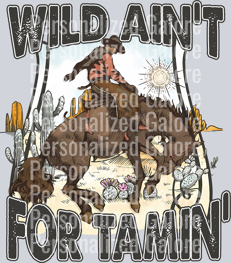 western_373