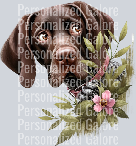 dog_337