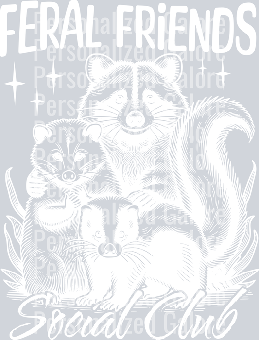 raccoon_011