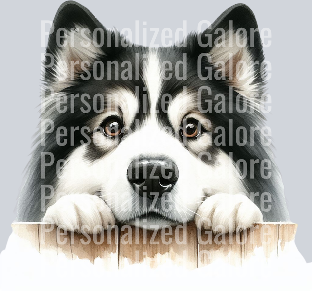 dog_315