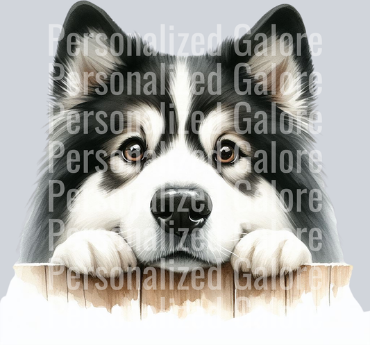 dog_315