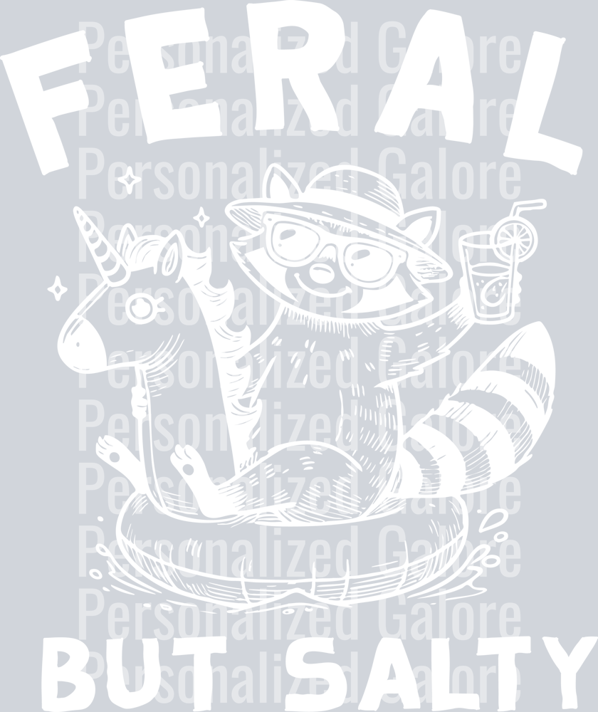 raccoon_018