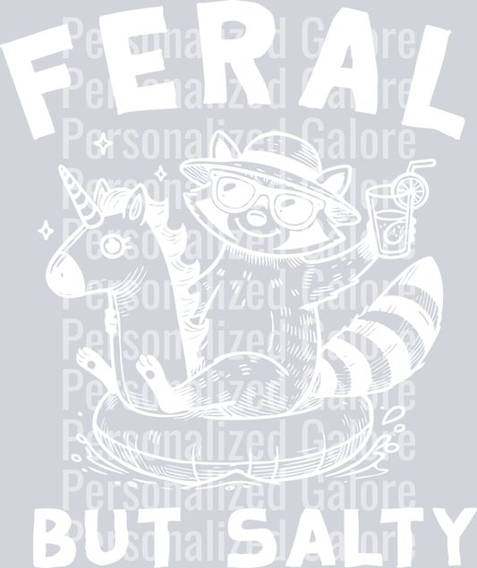 raccoon_018