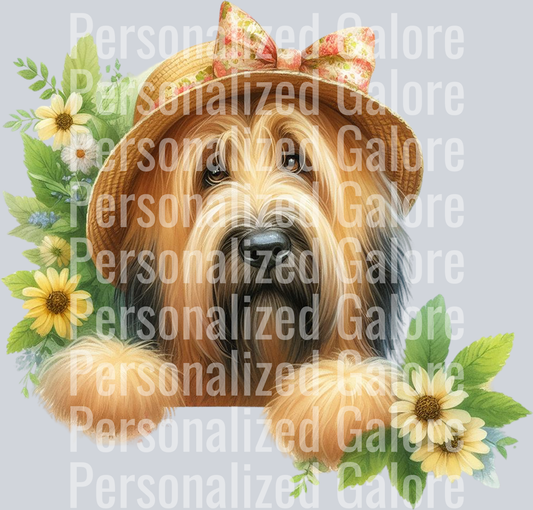 dog_443