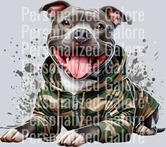 dog_081