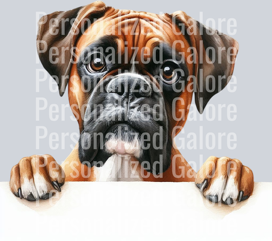 dog_447