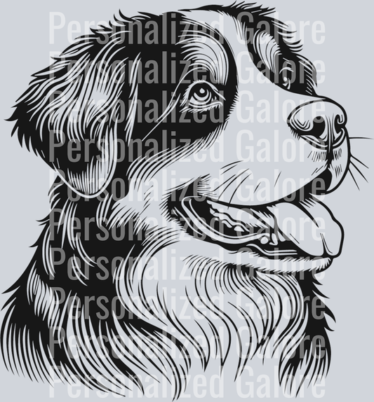 dog_239