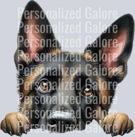 dog_371