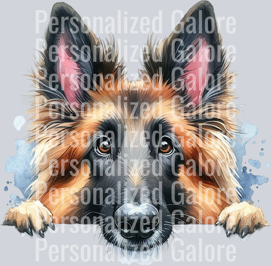 dog_467