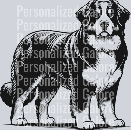 dog_162