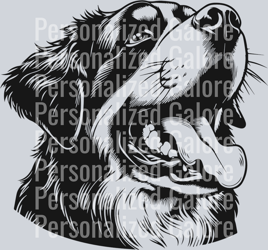 dog_185