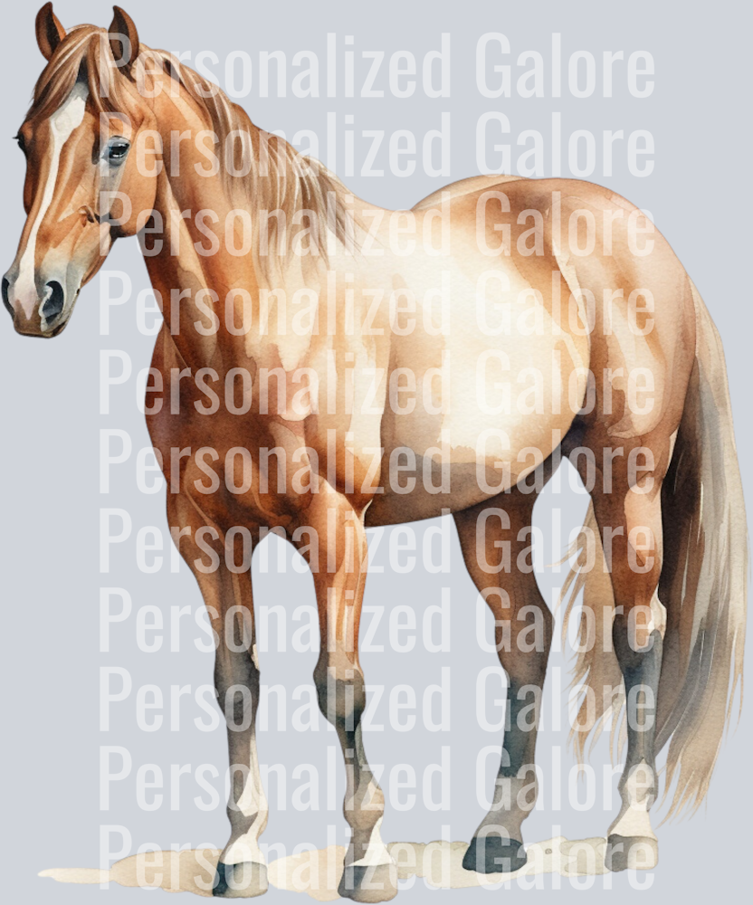 horse_018