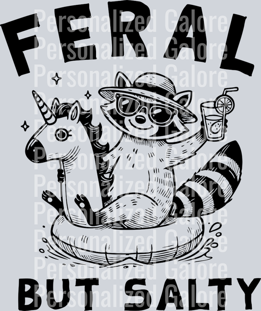 raccoon (17)