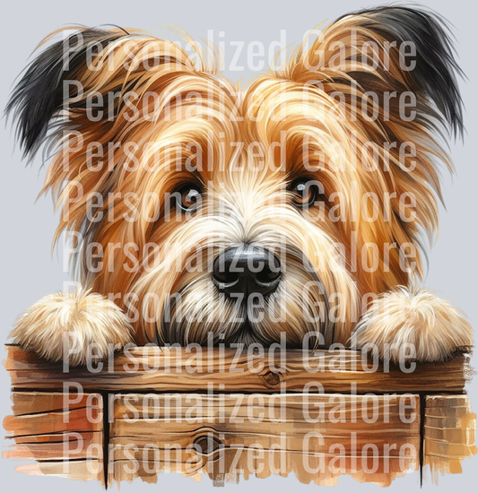dog_421