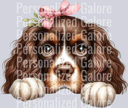 dog_546