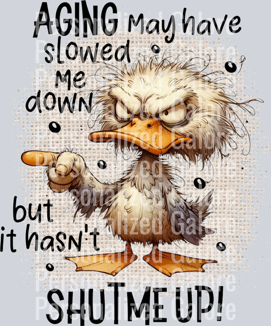 sarcasm_028