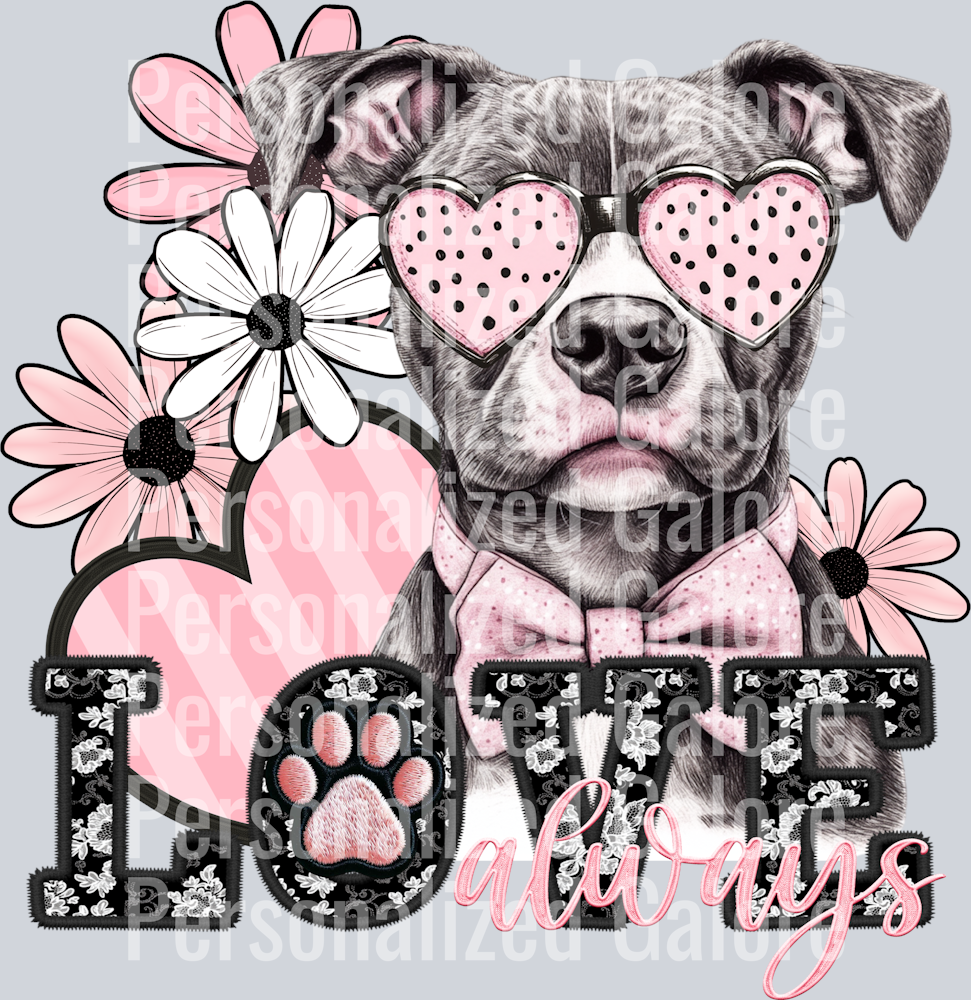 dog_065
