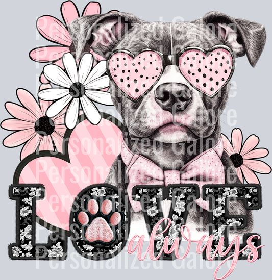 dog_065