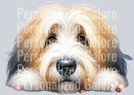dog_422