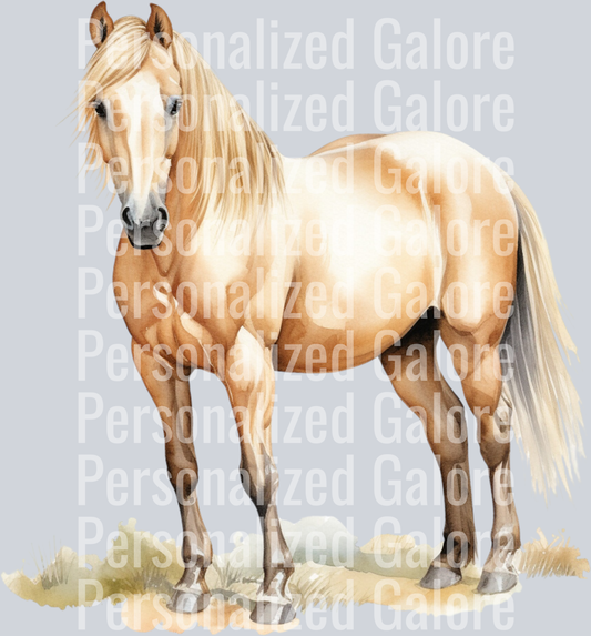 horse_020