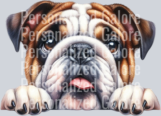 dog_434