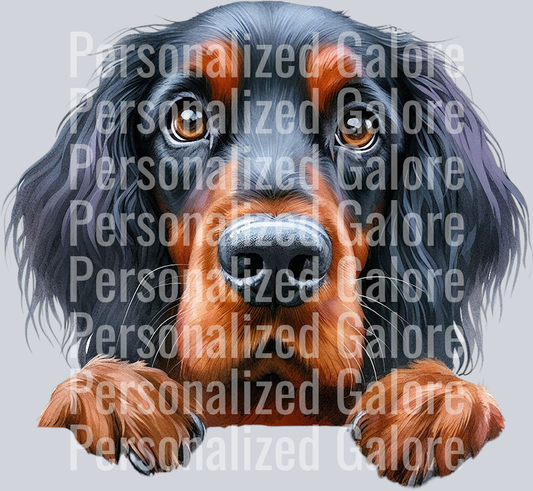 dog_326